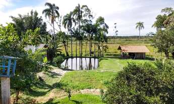 Imagem 2: 1975 Chácara no Bairro Pinheiros