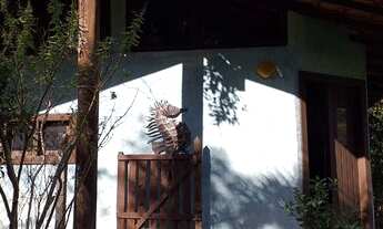 Imagem 3: Lindo Sítio com passagem de água e duas casas construídas