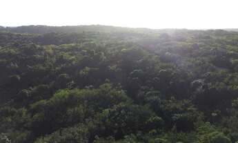 Imagem 4: TERRENO COM VISTA MAR