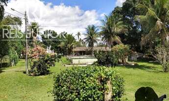 Imagem 3: A SUA OPORTUNIDADE PARA ADQUIRIR SUA FAZENDA PRATICAMENTE ÀS MARGENS DA BR. 324!!