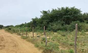 Imagem 4: Terreno na Serra Dos Paus Doias , Exu-PE