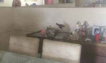 Imagem 3: VILA DO PAN 3 QUARTOS C/1 DEP COMPLETA, 115m