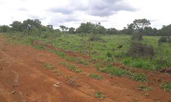 Imagem 3: FAZENDINHAS planinhas e com a frente cercada
