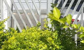 Imagem 7: Vendo imóvel comercial de esquina em Nova Itapevi - Itapevi - SP