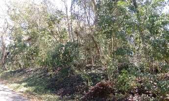 Imagem 4: Terreno de 1.500 metros junto a natureza !!!! Pendotiba