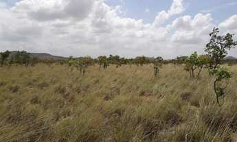 Imagem 3: Fazenda com 620 hectares Bonfim/RR a 130 km de Boa Vista, a 20 km do asfalto, com energia