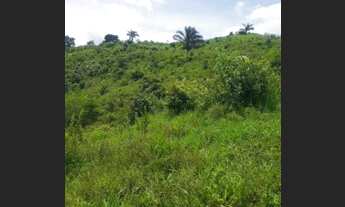 Imagem: Vendo ou troco 1 alqueiro de terra em uma