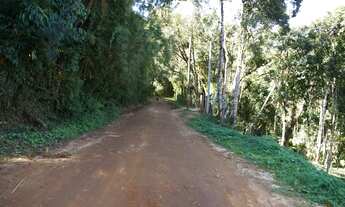Imagem 2: Lote/Terreno para venda possui 1025 metros quadrados em Vila Natal - Campos do Jordão - SP
