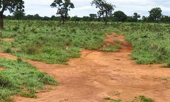 Imagem 2: Arrendamento para Lavoura Água Boa - MT