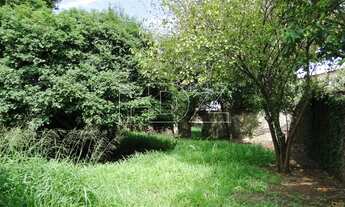 Imagem 3: Araraquara - Casa Padrão - Centro