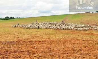Imagem: Fazenda em Bela Vista MS com 13.000 hectares