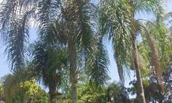 Imagem 7: Sítio à venda, 10000 m² por R$ 1.150.000,00 - Estância Santa Maria do Portão - Atibaia/SP