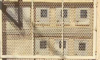 Imagem 5: OPORTUNIDADE Galpão / depósito com venda por R$450.000