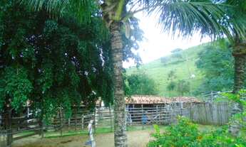 Imagem 4: Excelente sítio e barato no bairro do Caju - Maricá