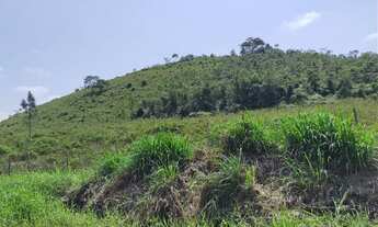 Imagem 5: Sítio 14 Alqueires 12 Alqueires aberto ( Willian Ricardo