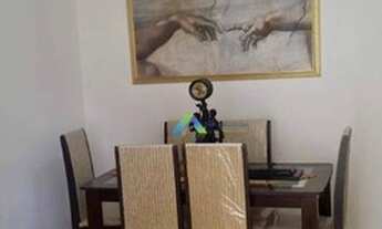 Imagem: Lindo apartamento centro de São Bernardo