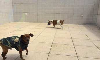 Imagem 4: ACEITA TROCA PERMUTA!!