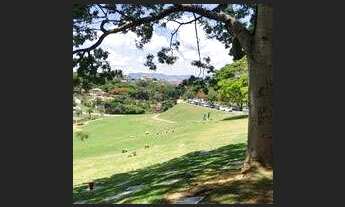 Imagem 6: Vendo jazigo Bosque da Esperança, local muito bonito, arborizado e ao lado do lago