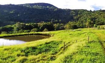 Imagem 7: SÍTIO 7 HECTARES EM SÃO FRANCISCO DE PAULA