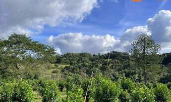 Imagem 4: Área à venda, 24.200 m² por R$ 540.000 - Rio Do Salto - Cascavel/PR