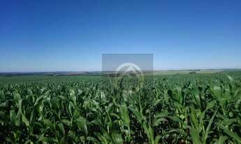 Imagem 2: Fazenda à venda, 290400 m² por R$ 2.000.000,00 - Distrito de Mariental - Lapa/PR