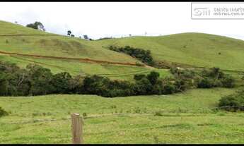 Imagem 5: FAZENDA BAIXA/MEDIA - LEITE/CORTE  FRENTE AO ASFALTO  SILVEIRAS - SP