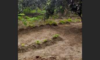 Imagem 5: Vendo ou troco chácara no Sapé