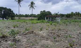 Imagem 14: Excelente Fazenda com 150 hectares na região de São Gonçalo do Amarante