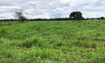 Imagem 5: Arrendamento para Lavoura Água Boa - MT