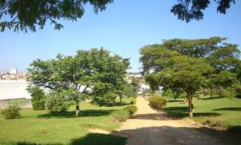 Imagem 4: ÁREA EM AVENIDA NA ENTRADA DA CIDADE