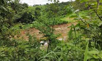 Imagem 3: Fazendinha 85 Hectares!!!!!Otima Estrutura!!!