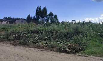 Imagem 3: Terreno para Venda, 54.604,52 m², Rio Negrinho / SC, bairro São Pedro