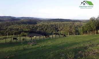 Imagem 5: Sítio à venda, com nascente e lago 70000 m² por R$ 990.000 - Botujuru - Mogi das Cruzes/SP