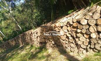 Imagem 3: Sítio com 1 dormitório à venda, 90000 m² por R$ 400.000 - Timbé do Sul/Santa Catarina