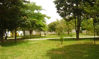 Imagem 3: APTO 02 DORMS- VL. EMIR- (CÓD 545 J