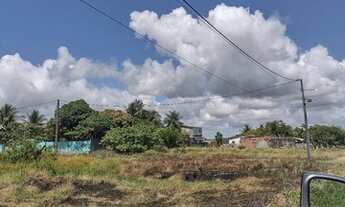 Imagem 6: Lote Por Apenas 18Mil A VISTA