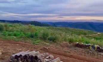 Imagem 5: AREA RURAL A VENDA EM ANITA GARIBALDI