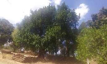 Imagem 3: Fazenda/Sítio/Chácara para venda possui 300 metros quadrados com 3 quartos