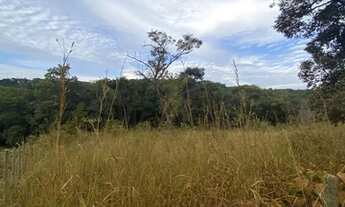 Imagem 2: Terreno com área de 2,5 ha em Sítio Novo - Mateus leme/MG