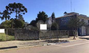 Imagem 5: Araucária - Casa Comercial - Centro