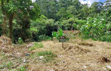 Imagem 3: Terreno à venda, 536 m² por R$ 195.000,00 - Jardim Leonor - Cotia/SP