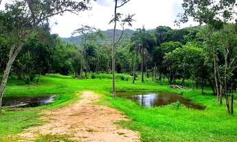 Imagem 7: Vendo lindo sitio completo