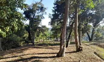 Imagem 5: Chácara com 5.860 mts dentro de condomínio fechado