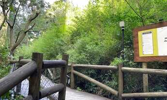 Imagem 3: PORTO ALEGRE - Apartamento Padrão - Partenon