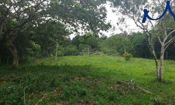 Imagem 4: SITIO RESIDENCIAL em FLORIANÓPOLIS - SC, VARGEM GRANDE