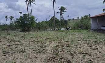 Imagem 11: Excelente Fazenda com 150 hectares na região de São Gonçalo do Amarante