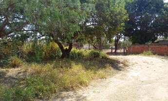 Imagem 4: Chácara 25.000m² Com Casa 3 Quartos 12 Km do Paranoá e Planaltina