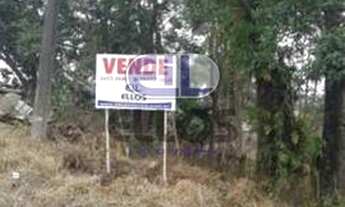 Imagem 3: Terreno Venda Bairro Adhemar Garcia Joinville