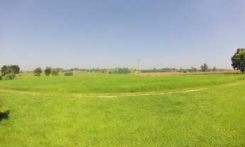 Imagem 3: Sitio formado com produção de feno