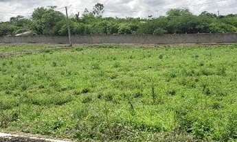 Imagem 5: Lote/Terreno para venda tem 264 metros quadrados em Povoado Insurreição - Sairé - PE